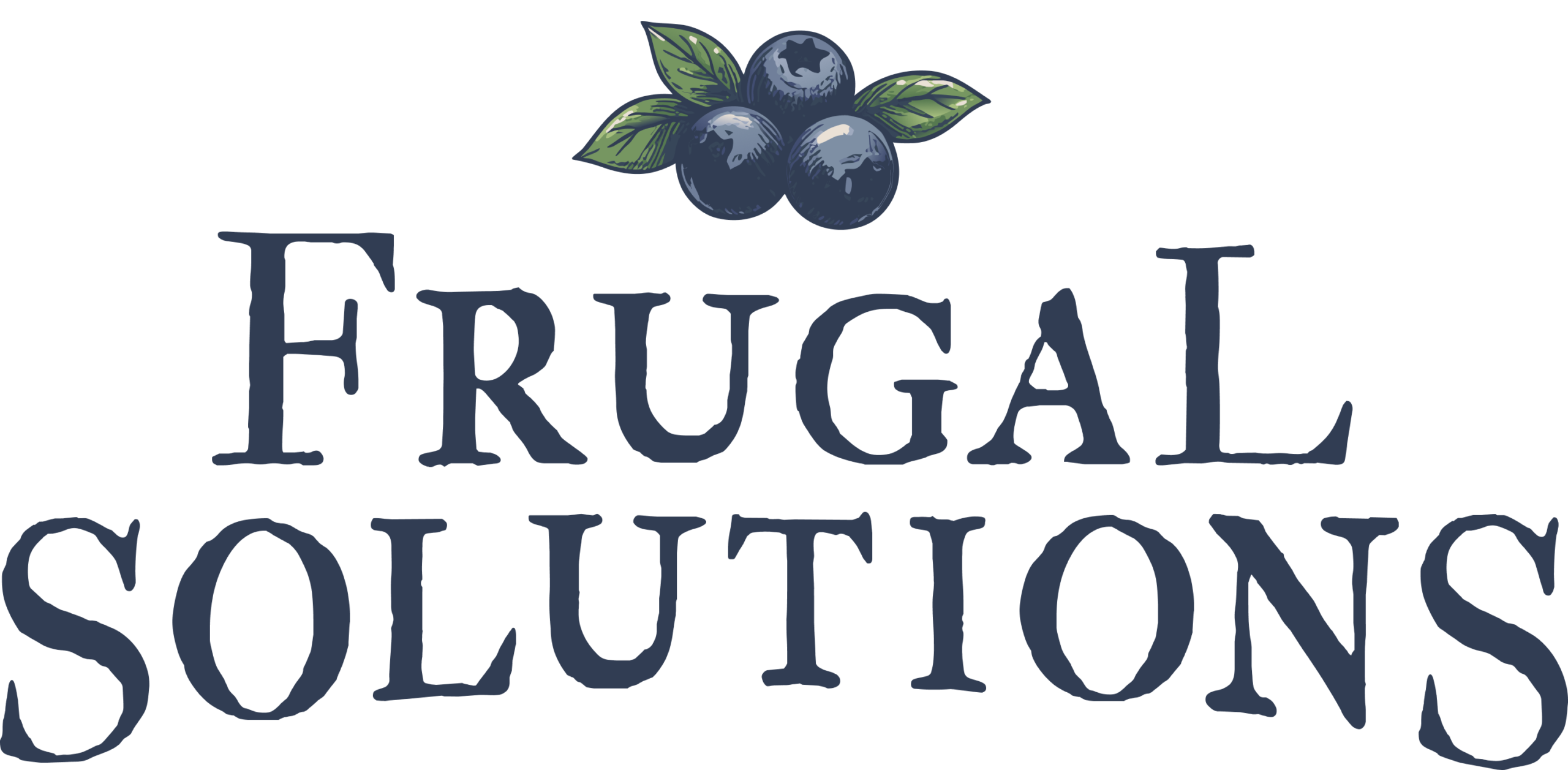 Frugal Solutions